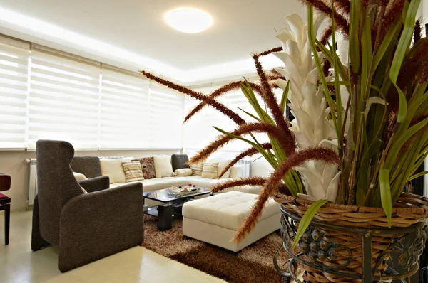 Contemporary living room — Stock Photo, Image