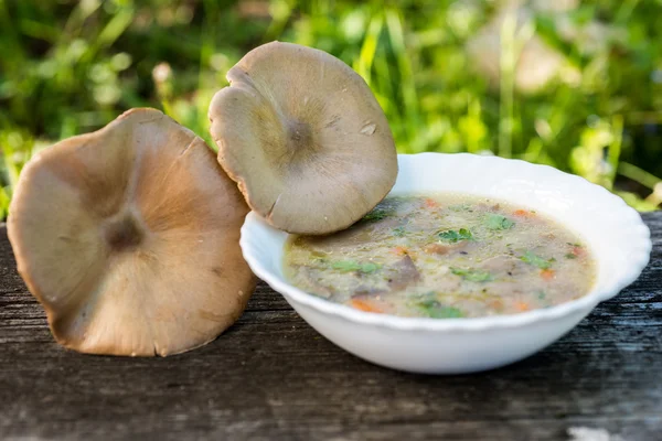 La sopa de setas a la mesa — Foto de Stock