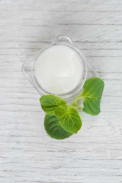 Crema viso naturale alla menta — Foto Stock