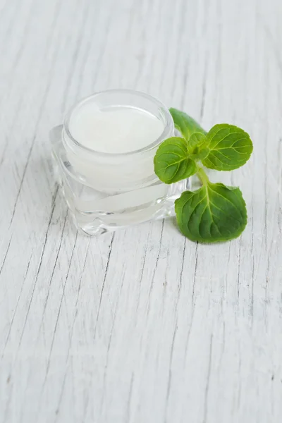 Crema viso naturale alla menta — Foto Stock