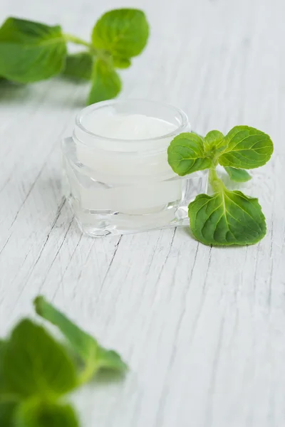 Natural facial cream with mint — Stock Photo, Image