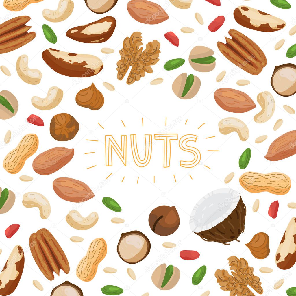 Nuts set with different types of nuts - brazil nut, coconut, cashew, hazelnut, pistachio, pecan, macadamia, peanut, cedar nut, almond, and chestnut. Vector banner illustration isolated