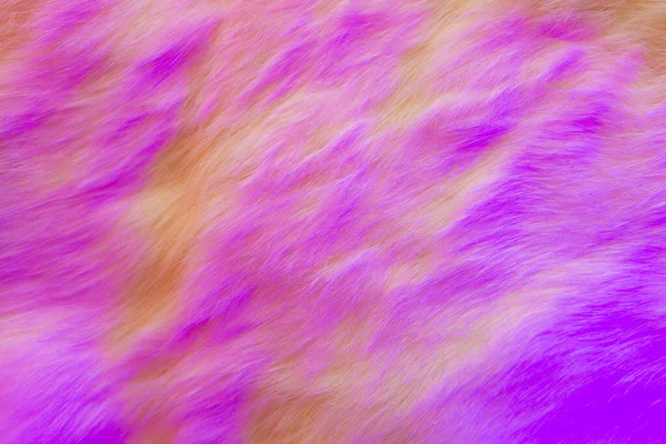 Fur pink background. Vivid bright pink fur texture of flaffy rabbit with idealistic structure of hairs, for brave, juicy, boho, aesthetic, and perfect design