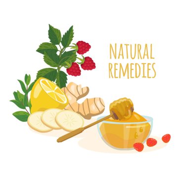 Doğal ilaç malzemeleri limon, zencefil, nane, ahududu, bal. Halk hekimliği konsepti. Soğuk algınlığı, grip, burun akışı, ateş ve bağışıklık güçlendirici tedavisi. Vektör illüstrasyon pankartı