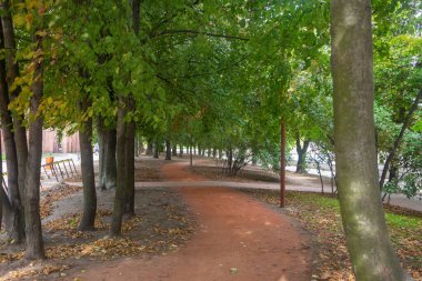 Parktaki kırmızı kumdan bir patika. Seçici odak.