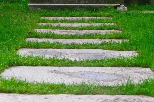 Fußweg Aus Alten Steinplatten Auf Einer Grünen Wiese Landschaftsplanungskonzept Nahaufnahme — Stockfoto