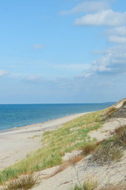 Baltık Denizi 'nde deniz kıyısı ve beyaz kum tepesi. Ulusal Park Curonian Tükürüğü.