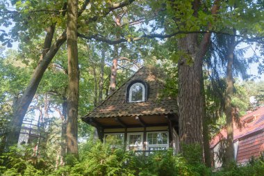 Ormanda, büyük ağaçların arasında küçük bir kır evi. Yaşamak için ekoloji kavramı. Güneş ışığı, seçici odak.