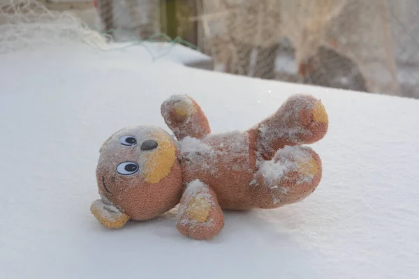 Old soft bear toy thrown into snow. Concept of uselessness, past childhood.