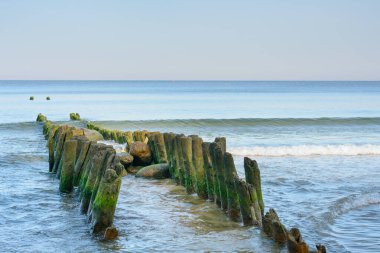 Eski ahşap yığınları denizdeki suyu kırıyor. Yeşil yosun ve yumuşak dalga. Güzel deniz manzarası.