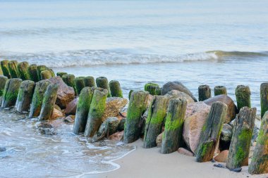 Eski ahşap dalgalı su yığınları deniz kenarında kumda. Güzel deniz manzarası. Seçici odak.