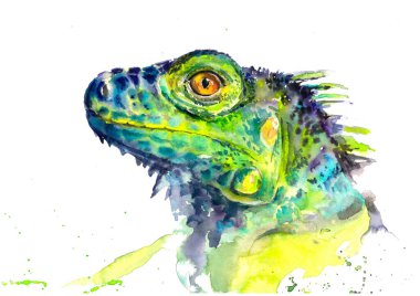 Beyaz arkaplanda parlak iguana