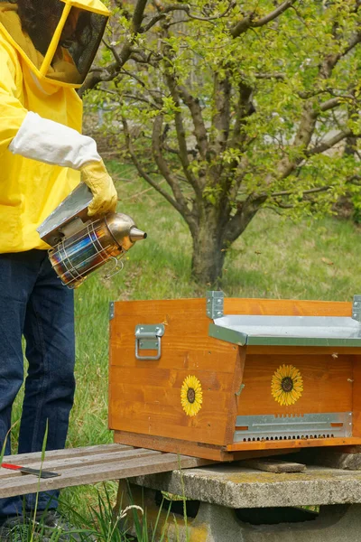 Пчеловод Жёлтом Пчеловодческом Костюме Работающий Ульями Проверяющий Рамы Медовых Сот — стоковое фото