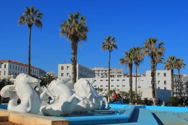 Alger capitale de l'Algérie — Photo