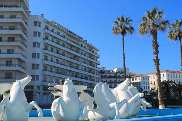 Alger capitale de l'Algérie — Photo