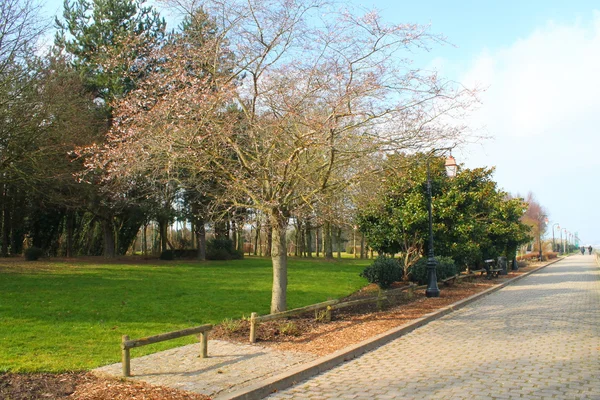 Trädgård i Honfleur, Norman stad i Frankrike — Stockfoto