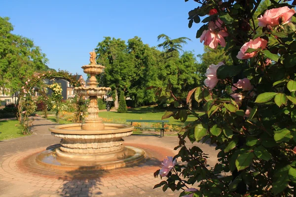 Trädgården i Honfleur, Frankrike — Stockfoto