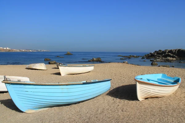 Surcouf, beach on the Felian coast, Algiers — стоковое фото