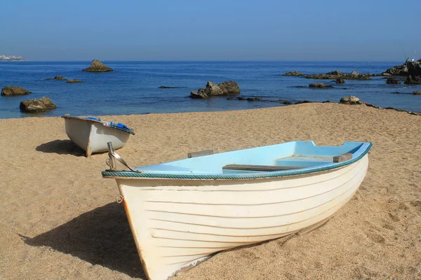 Пляж на побережье Алжира — стоковое фото