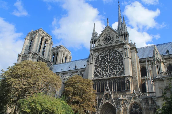 Katedral notre dame de paris, Fransa — Stok fotoğraf