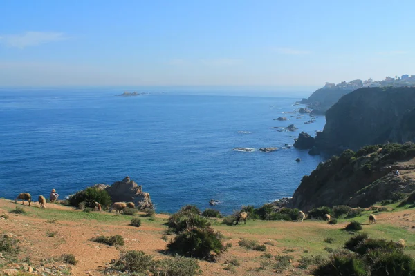 Mediterranean sea in Algiers, Algeria — Stock Photo, Image