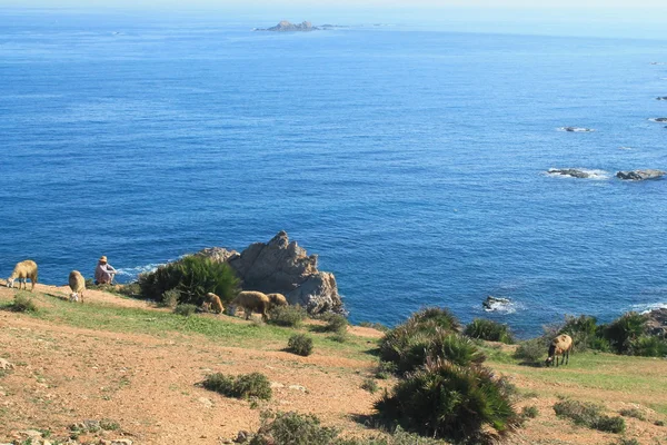 Středozemní moře v Alžíru, Alžírsko — Stock fotografie
