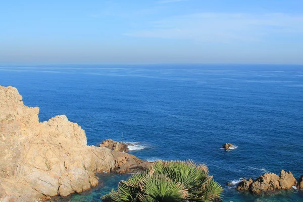 Mediterranean sea in Algiers, Algeria — Stock Photo, Image