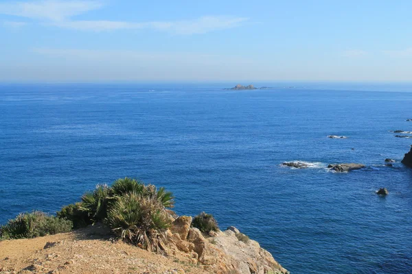 Mediterranean sea in Algiers, Algeria — Stock Photo, Image