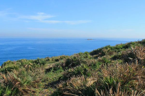 Mittelmeer in Algier, Algerien — Stockfoto