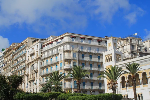 Argel capital da Argélia — Fotografia de Stock