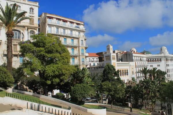 Algier hauptstadt algerias — Stockfoto