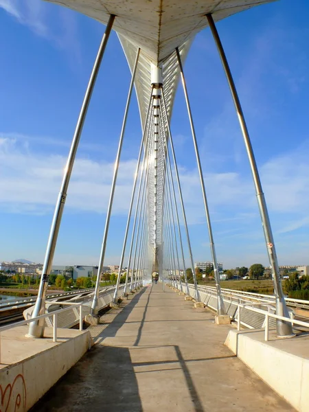 Ponte lusitânia — Fotografia de Stock