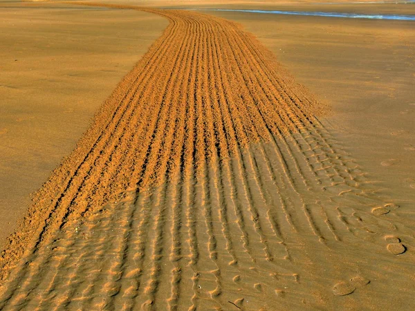 Tracks in the sand — Stock Photo, Image