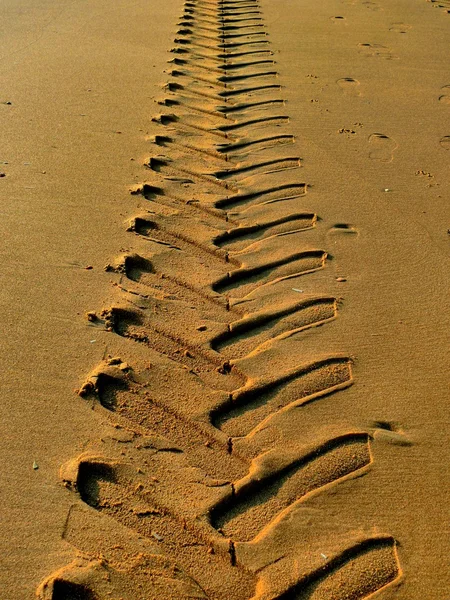 Pistes dans le sable — Photo