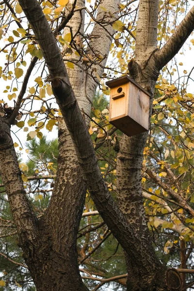 Little bird nest house — Stock Photo, Image