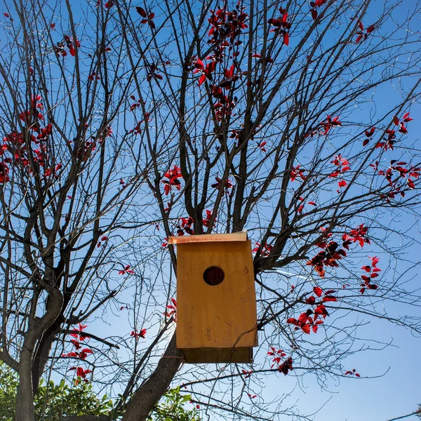 Little bird nest house — Stock Photo, Image