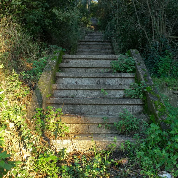 Treppe mit Laubstreu Stockbild