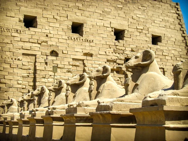 Avenida Sphinxes no Templo Karnak (Luxor, Egito ) — Fotografia de Stock