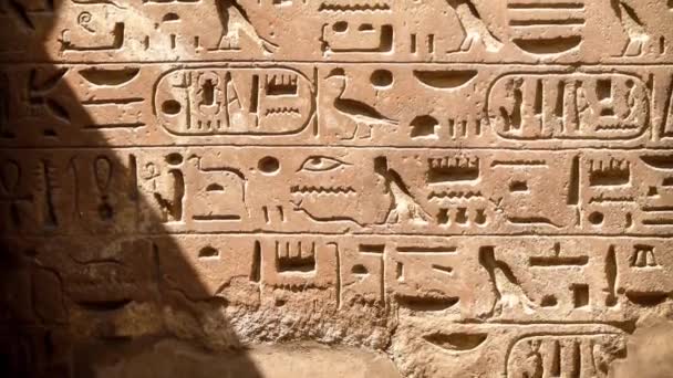 Hieróglifos no templo Karnak em Luxor (Egito ) — Vídeo de Stock