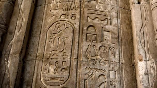 Kom-Ombo, väggmålning kolumn hieroglyfer — Stockvideo