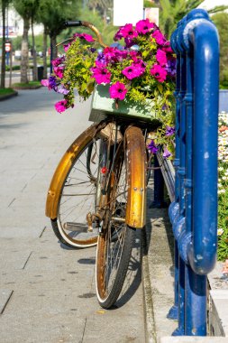 Bisiklet çiçekli