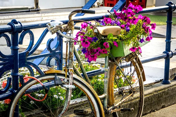 Fiets met bloemen — Stockfoto