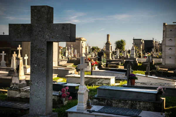 Tumbas en el cementerio —  Fotos de Stock