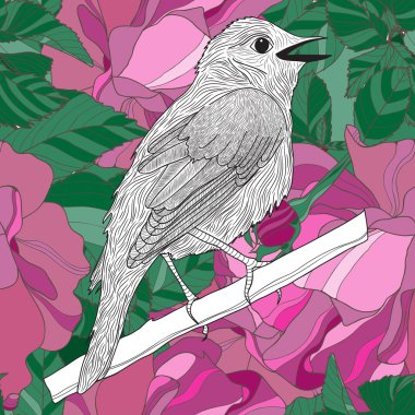 örnek grafik kuş ile