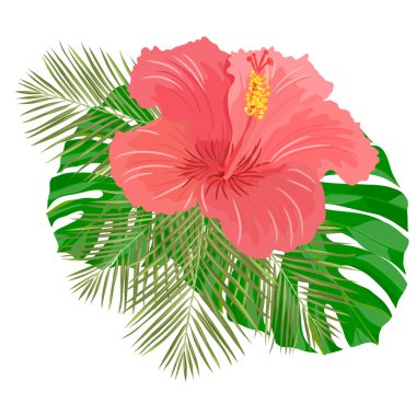 hibiscus çiçek şekil