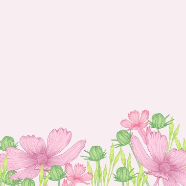  kır çiçekleri ile sınır