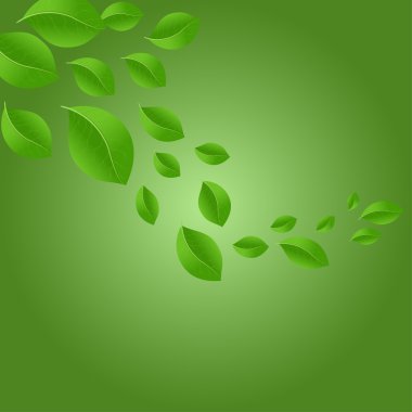 kart yeşil yaprakları ile