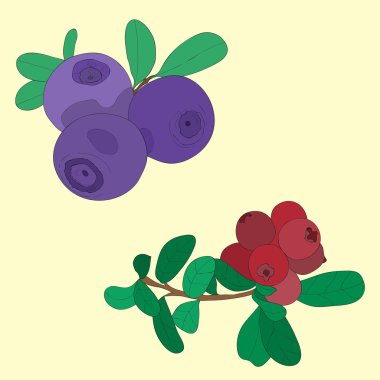 resimde bilberries ve kızılcık
