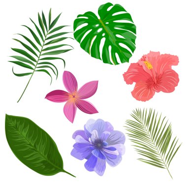  egzotik çiçek ve yaprakları ile ayarla