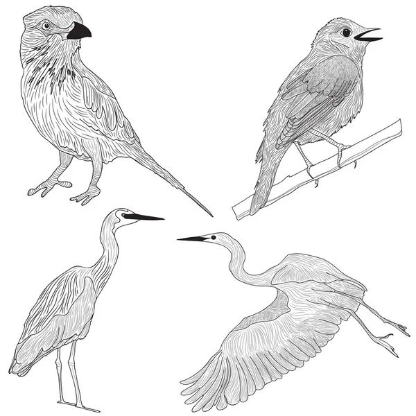 Siyah ve beyaz renklerde kuşlar — Stok Vektör